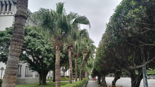 istock Taipei, Taiwan 2016 - Sidewalk between two rows of trees 1400936116