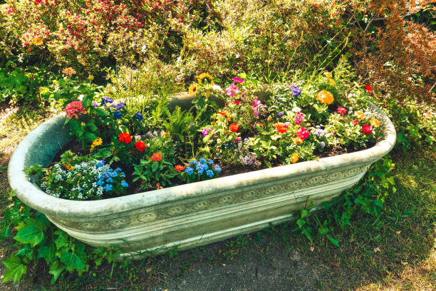 istock flowers in the garden 1400943602