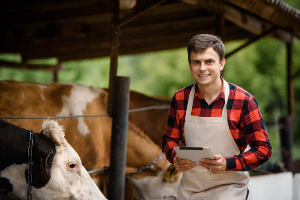istock farmer is holding a tablet and verification his cows on his cattle farm. 1400952032