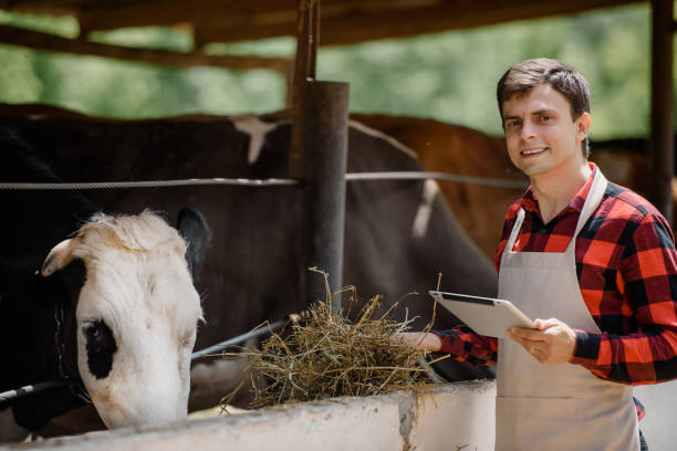 istock farmer is holding a tablet and verification his cows on his cattle farm. 1400952340