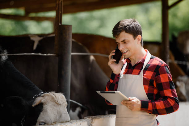 istock farmer is holding a tablet and verification his cows on his cattle farm. 1400952387