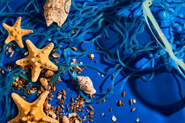 istock Flat lay background with starfish, seashells on blue water texture with sunlight 1400952969