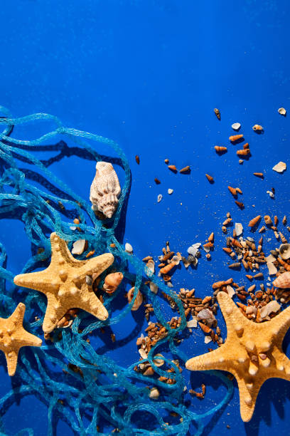 istock Flat lay background with starfish, seashells on blue water texture with sunlight 1400952977