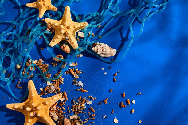 istock Flat lay background with starfish, seashells on blue water texture with sunlight 1400952980