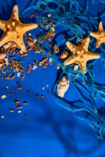 istock Flat lay background with starfish, seashells on blue water texture with sunlight 1400952990