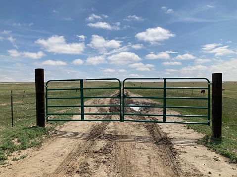 Pasture gate on a sunny spring day