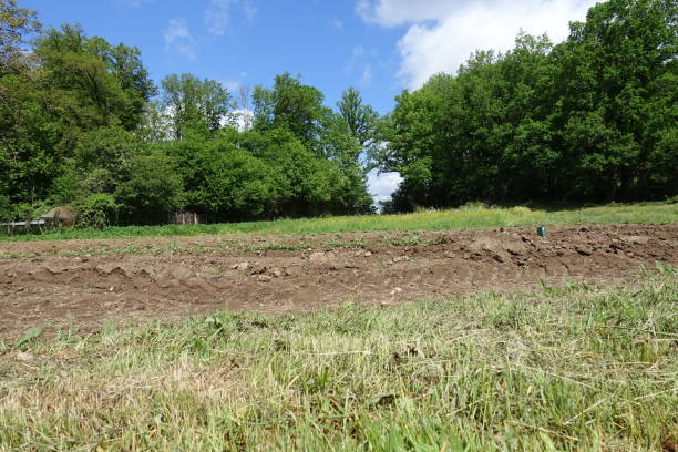 istock Vegetable garden  Plowed field  Spring season 1400953934