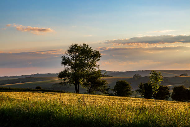 istock Evening light over the rolling Sussex countryside 1400956975