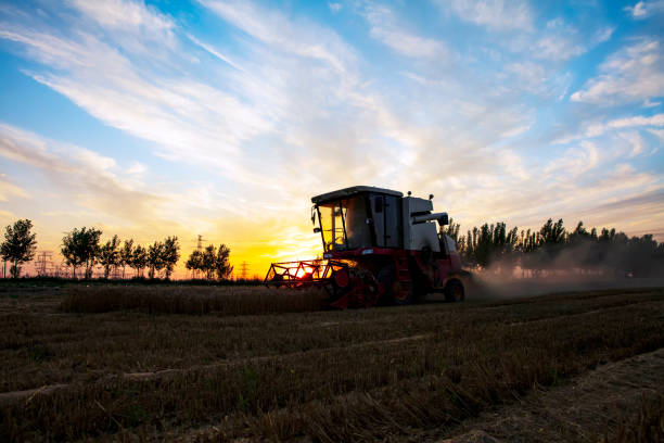 istock The combine is harvesting the wheat in the evening 1400957227