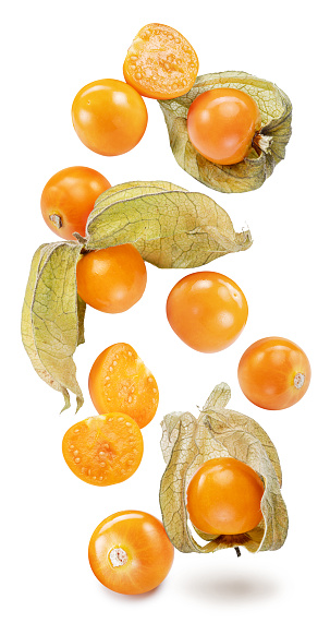 Levitating ripe physalis or golden berry fruits on white background. File contains clipping paths.