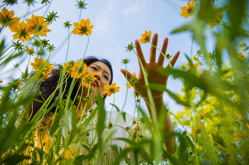 Women hand touching flowers in a yellow flower field