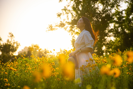 Beautiful young woman in white dress on yellow flower meadow in sunset