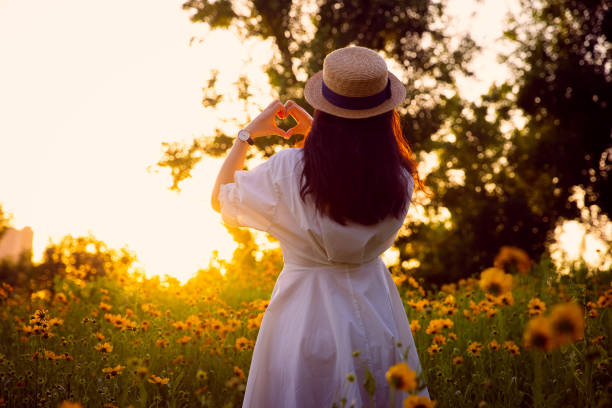 women hands making heart shape against the sunset