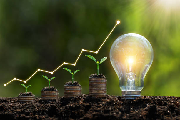 la lampadina si trova sul terreno. e le piante crescono su monete impilate la generazione di energia rinnovabile è essenziale per il futuro e le imprese verdi basate sulle energie rinnovabili possono consentire la crescita del business. - currency growth making money protection foto e immagini stock