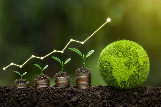 Photo of Light bulb is located on soil. plants grow on stacked coins Renewable energy generation is essential for the future. Renewable energy-based green business can limit climate change and global warming.
