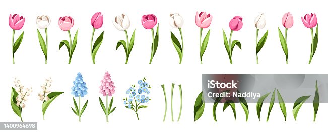 istock Set of spring flowers and leaves. Tulips, hyacinth, forget-me-not, and lily of the valley flowers. Vector illustrations 1400964698