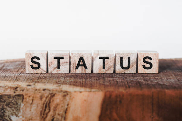 Status Word Written In Wooden Cube stock photo