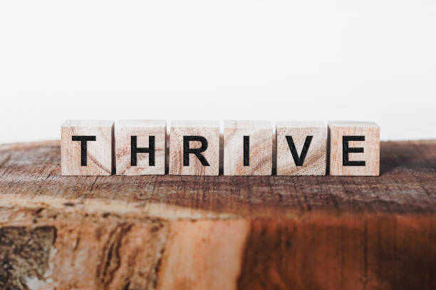 Thrive Word Written In Wooden Cube stock photo