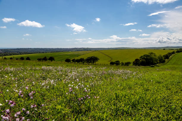 istock A Rural Sussex View over Fields on a Sunny Early Summers Day 1400966063