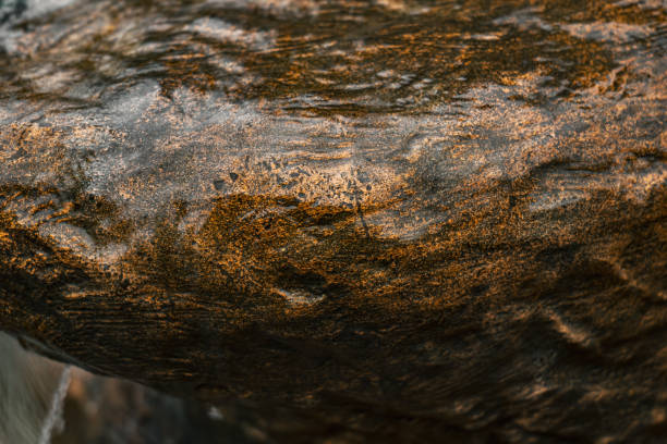 close-up on a stone wet with rain