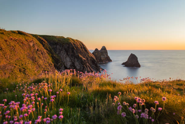 ceibwr, pembrokeshire, wales - wales south wales coastline cliff stock-fotos und bilder