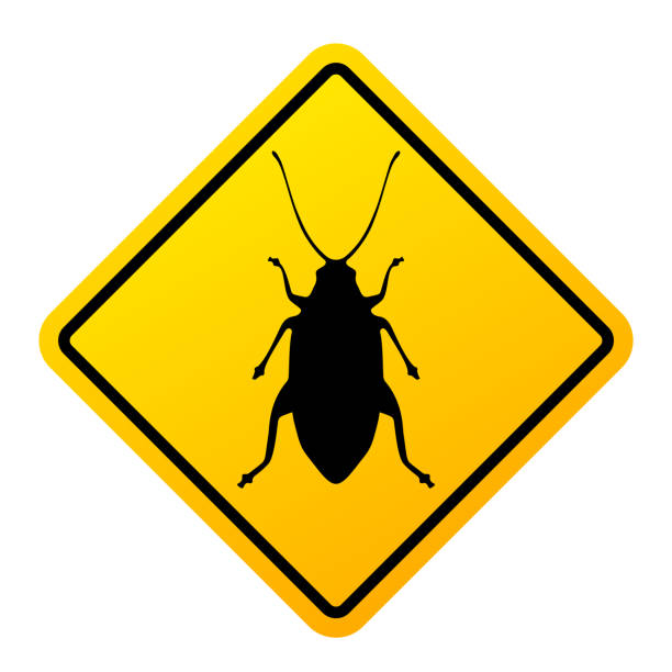 Cockroach warning sign, pest control symbol Cockroach warning sign, pest control symbol on white background parasite infestation stock illustrations