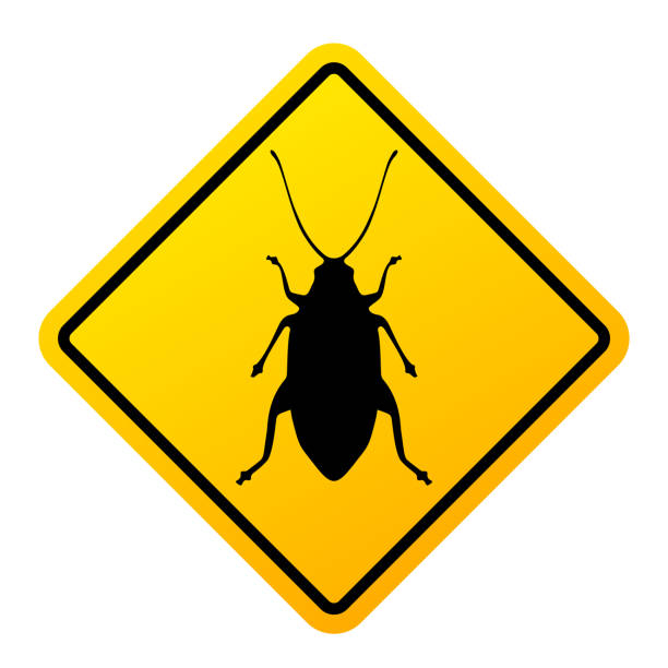 Cockroach warning sign, pest control symbol Cockroach warning sign, pest control symbol on white background pest control logos silhouette stock illustrations