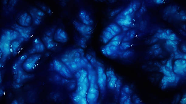 istock Microbiology Organic surface extreme close-up 1400975602