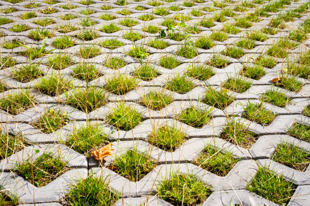 istock Green grass between the sidewalk square tiles 1400979545