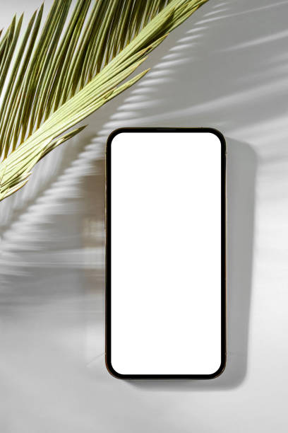 istock Smartphone mockup with palm leaf on white background. Device screen mock up on stylish background for presentation or appl design 1400985979