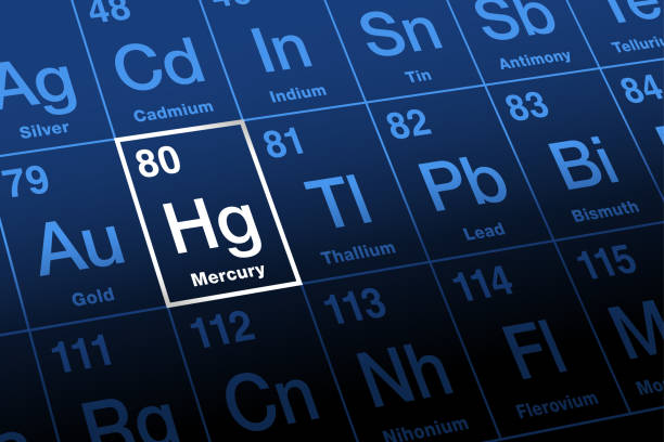 ilustrações, clipart, desenhos animados e ícones de mercúrio, quicksilver, elemento com símbolo hg, na tabela periódica - intoxicação de substâncias