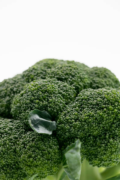 Broccoli isolated on white background. stock photo