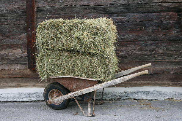 istock Cart loaded with straw bales 1400989645