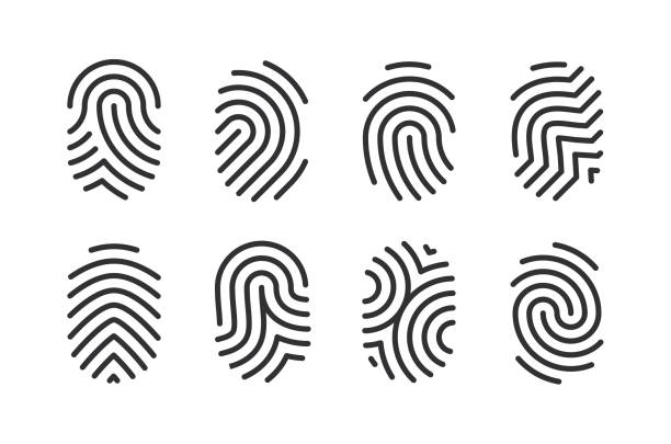 ilustrações, clipart, desenhos animados e ícones de ícones da linha de impressão digital traçado editável - fingerprint thumbprint human finger track