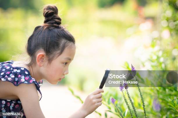 虫眼鏡で花や蜂を見つめる少女