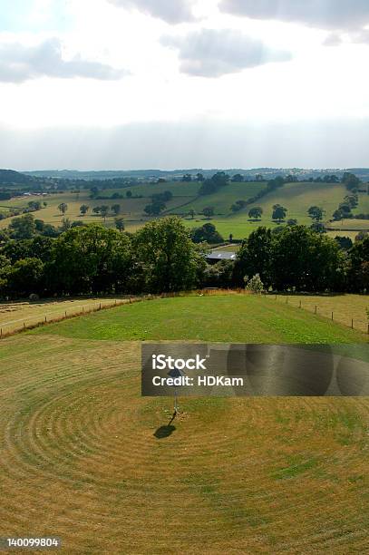 Birdhouse In A Large Garden Stock Photo - Download Image Now - Agricultural Field, Animal, Bird