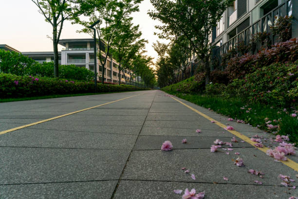 boulevard in residential area