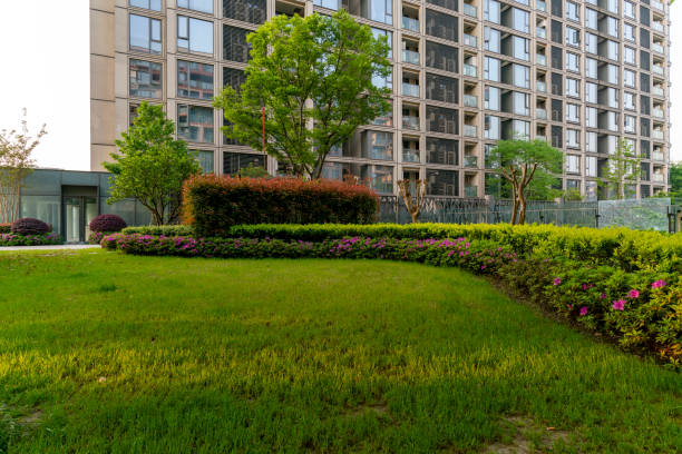 istock Residential building and front yard lawn 1401003130