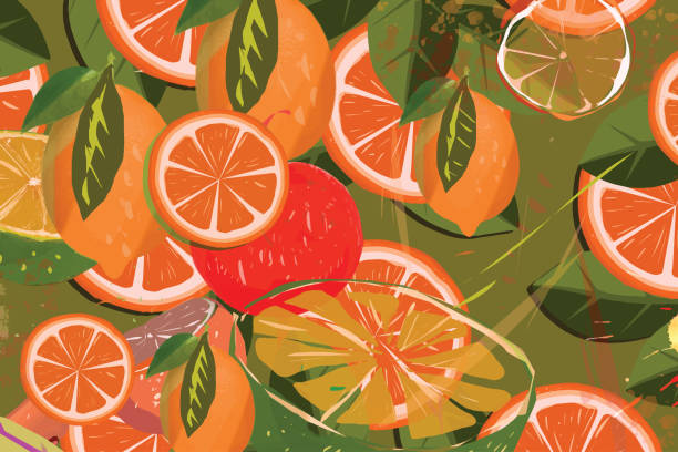 letni skład owoców 2022 - citrus fruit illustrations stock illustrations