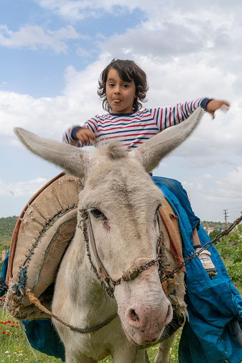 The boy riding the donkey poses between the ears of the donkey. viewed from below. Shot with a full frame camera.
