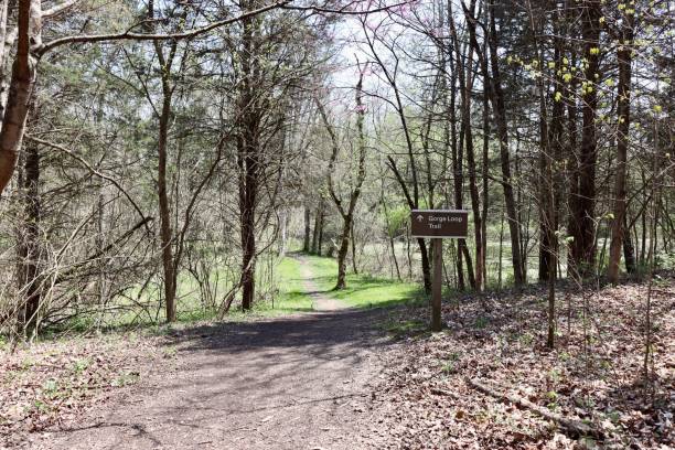 istock Hiking Trail in the Woods 1401012136