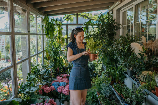 istock Female florist working in garden center 1401014866