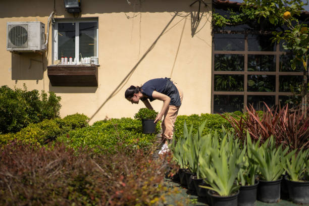 istock Florist working in garden center 1401014956