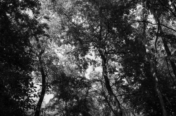 park in the morning