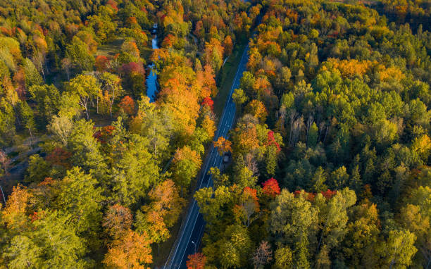 istock Top view of curvy road passing through the bright autumn forest 1401018414