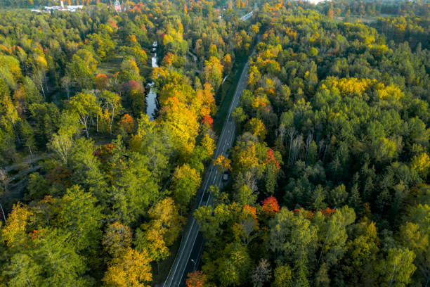 istock Top view of curvy road passing through the bright autumn forest 1401018791