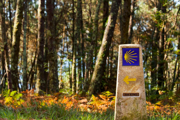 hito del camino de santiago, señalización direccional e informativa, fondo de pinar. - arrow sign road sign fence fotografías e imágenes de stock