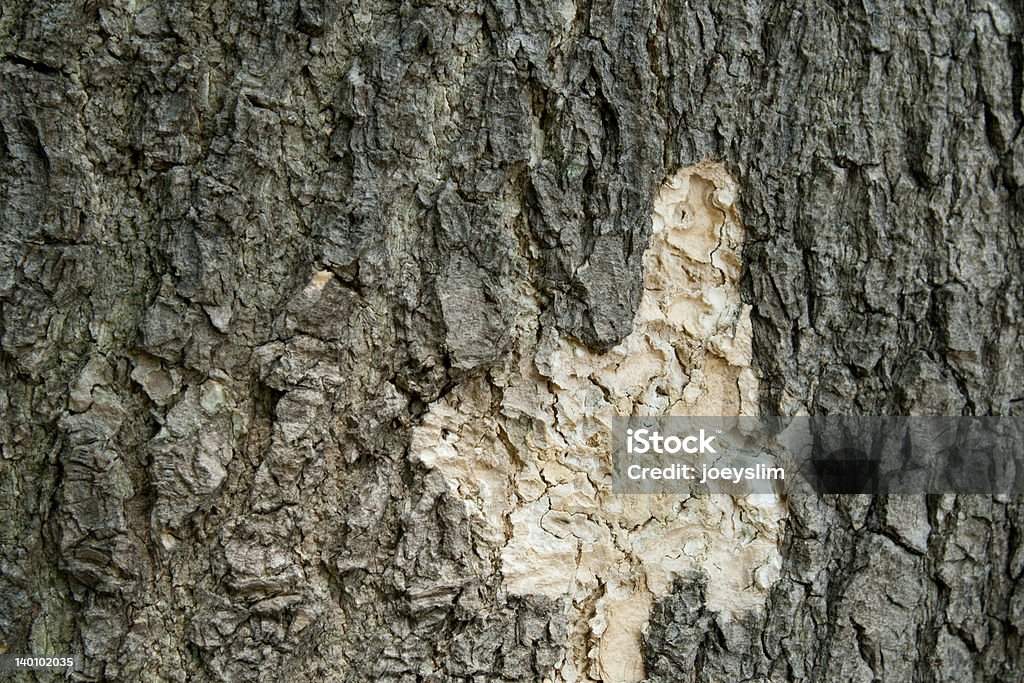 old cracked wood texture Horizontal Stock Photo