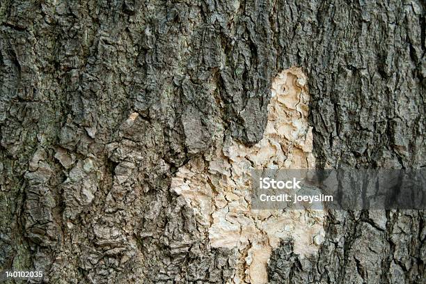 Old Cracked Wood Texture Stock Photo - Download Image Now - Horizontal, Material, No People