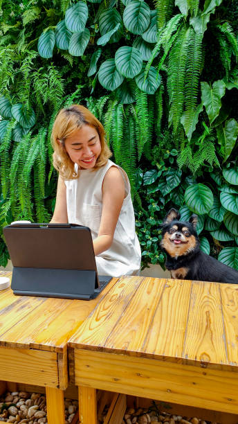 istock Woman e-learning with a laptop in a park with her dog. 1401021359